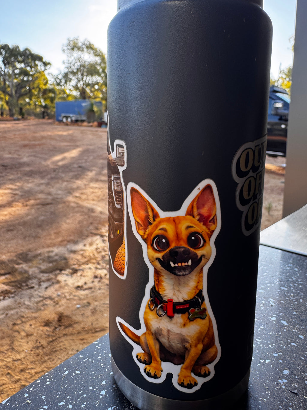 Ranger Decal